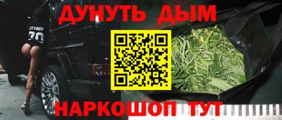 дмт Гатчина