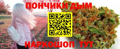 дмт Гатчина