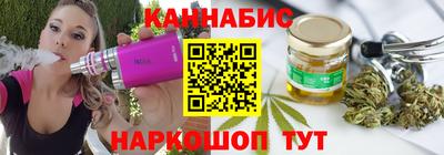 дмт Гатчина
