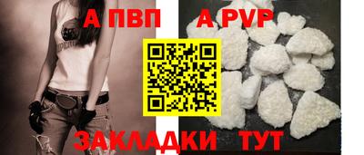 дмт Гатчина
